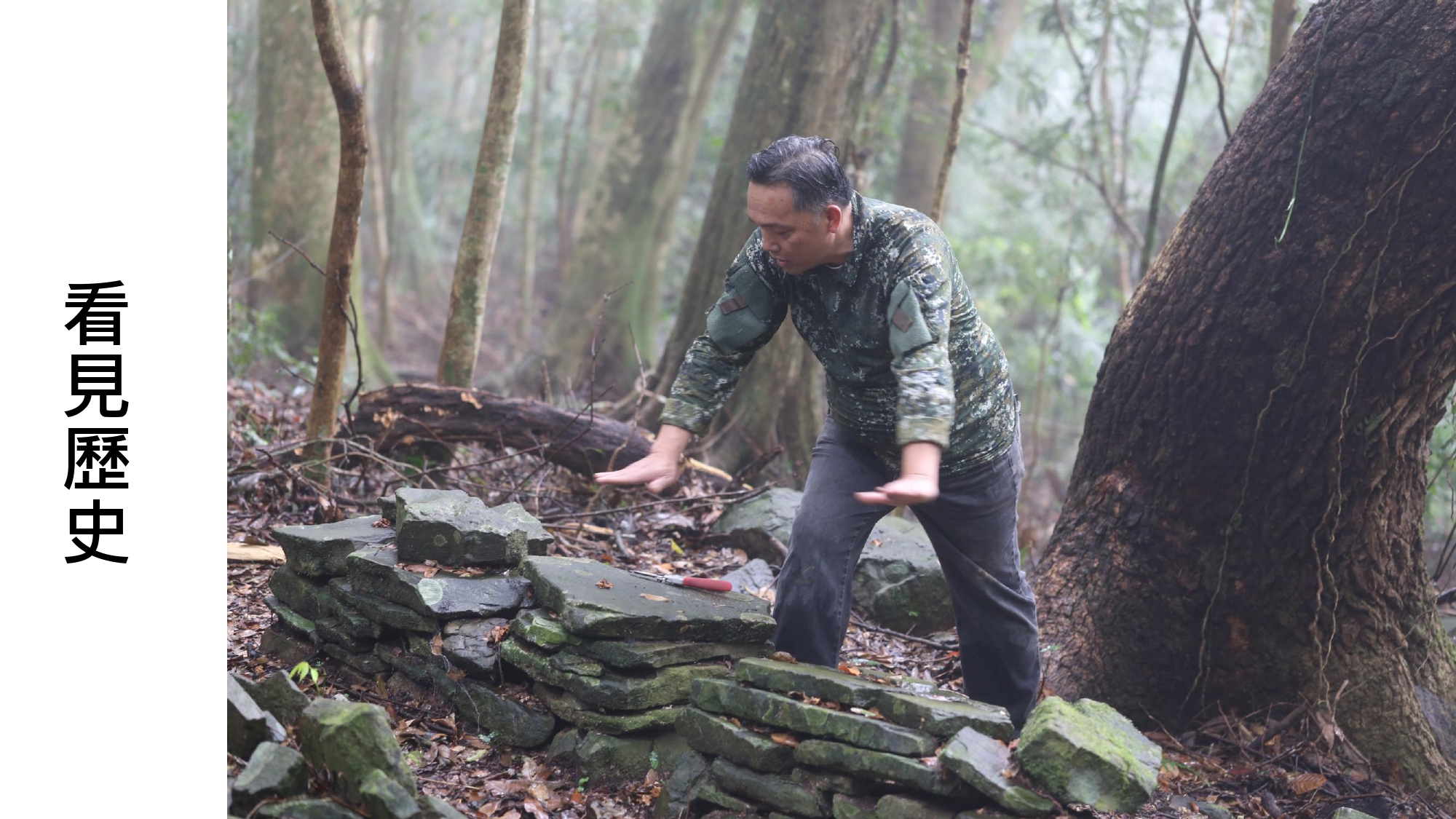 無螫蜂生態導覽